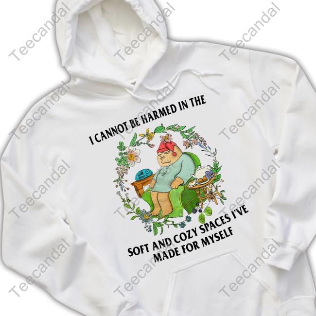 Jmcgg I Cannot Be Harmed In The Soft And Cozy Spaces I've Made For Myself Hoodie