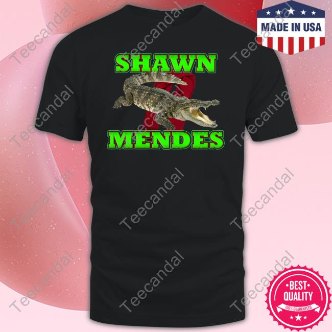 Shawn Mendes Shirt Sadstreet
