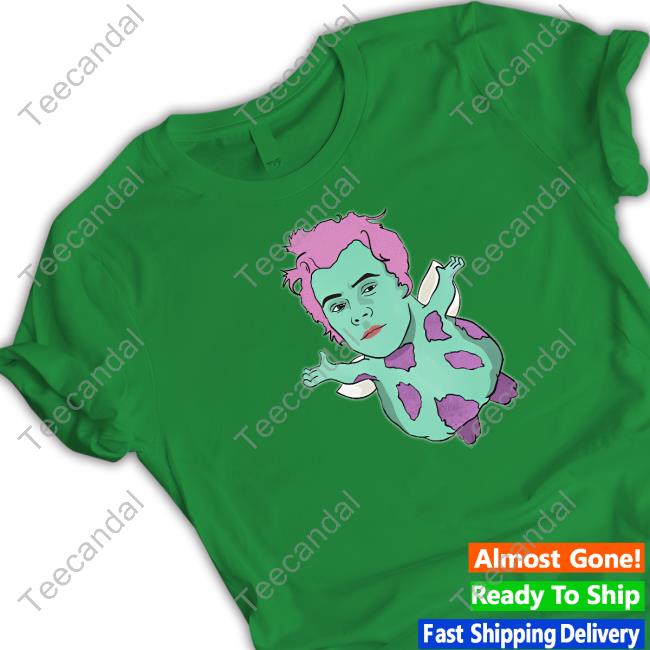 Niceshirtthanks Merch Harry X Bibble T Shirt