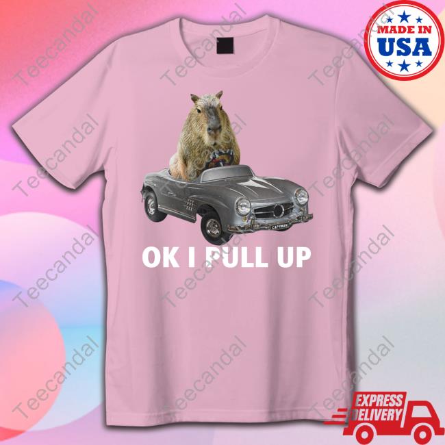 Capy Car Ok I Pull Up Sweatshirt