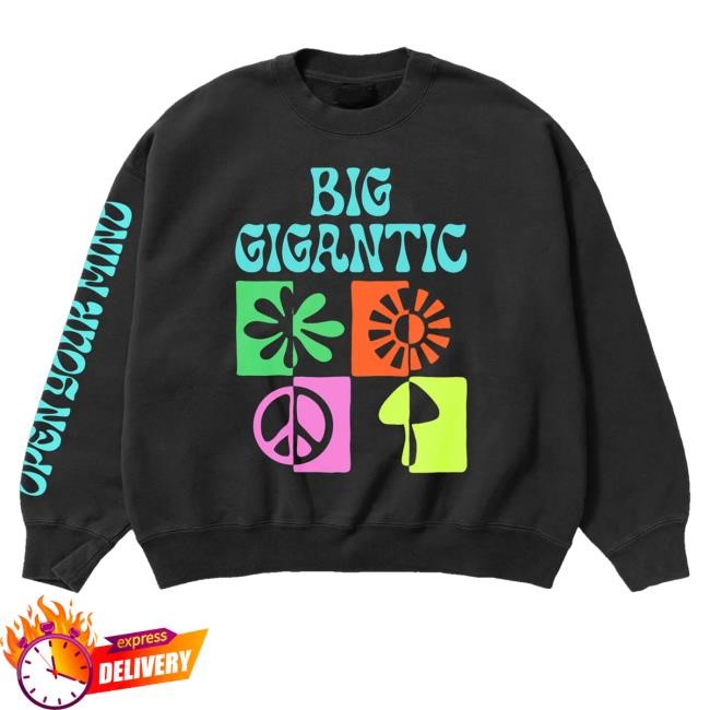 Big Gigantic Merch Open Your Mind Hoodie